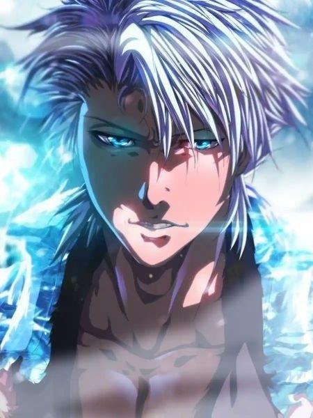 Bleach: The Strongest Shinigami, Hitsugaya Toshiro cover