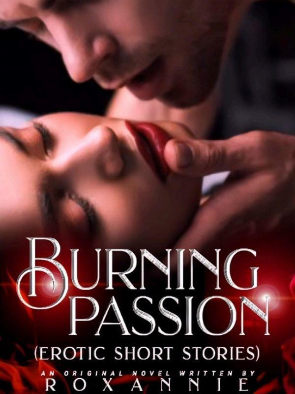 Burning Passion(Erotic Short Stories) cover