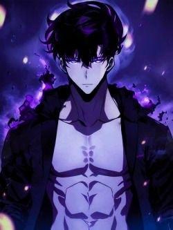DxD: Shadow Monarch cover