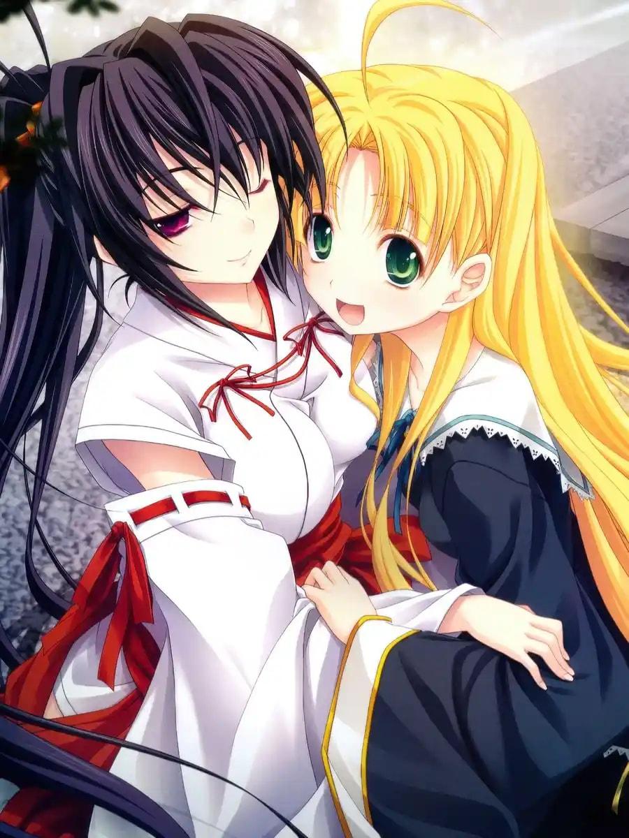 DxD: The Holy Knight! cover