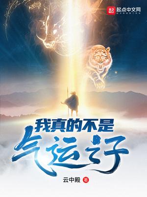 I Am Really Not The Son of Providence cover