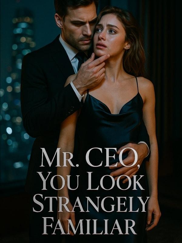 Mr. CEO, You Look Strangely Familiar cover