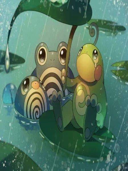 Pokémon: Master of the Rain Team cover