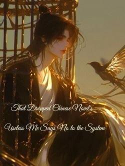That Dropped Chinese Novel’s Useless Me Says No to the System cover