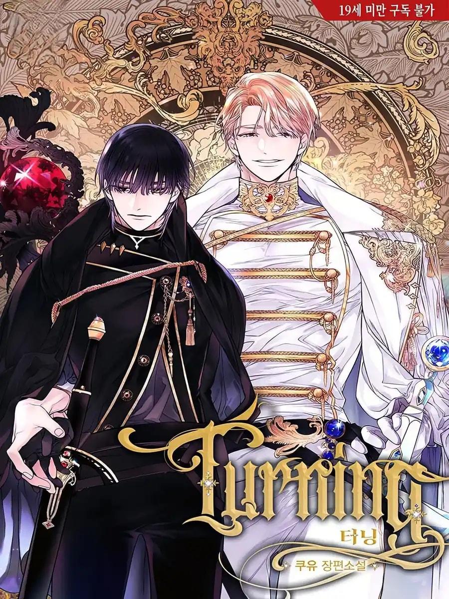 Turning cover